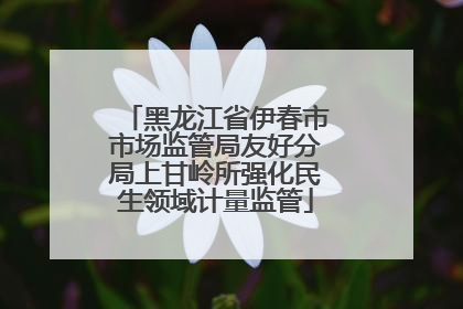 黑龙江省伊春市市场监管局友好分局上甘岭所强化民生领域计量监管